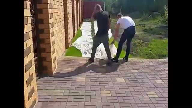 Как посеять Газон