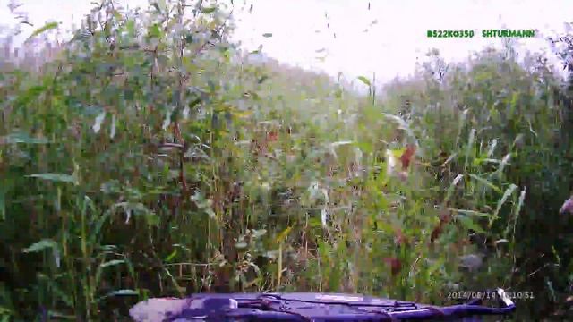 Кубенское озеро 14.08.2014 смотреть онлайн