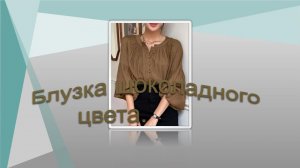 Блузкка шоколадного цвета.Моделируем блузку 01