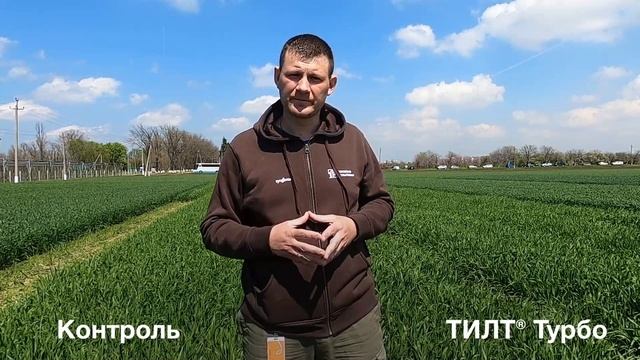ТИЛТ® Турбо на ячмене, Краснодар смотреть онлайн