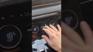 Exeed LX 1.6 awd кнопка климата