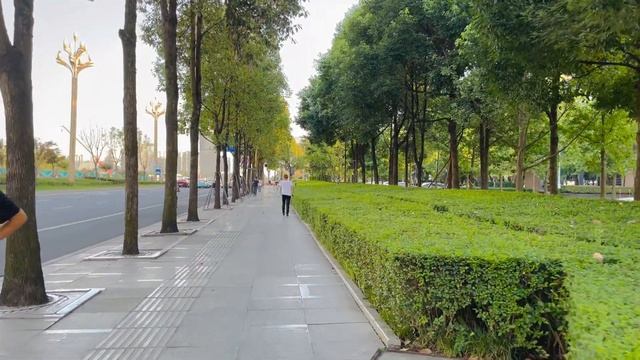 [4KHDR]China4kWalk2022|Travel at home Walk from Incubation Park to New Century Global Center Chengd смотреть онлайн