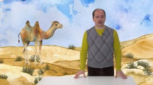 41. Природные сообщества. Часть 1