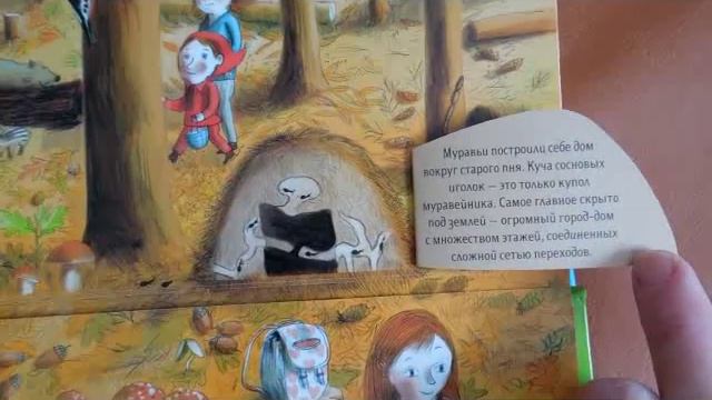 Природа над землей и под землей смотреть онлайн