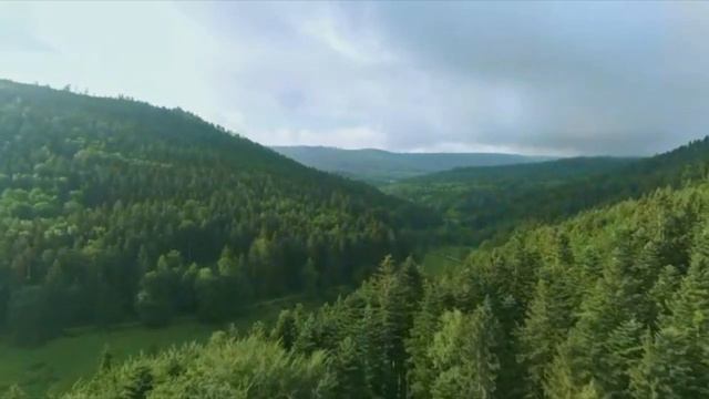 Скрипка неба смотреть онлайн