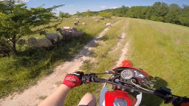 Влог-прокатились с девушкой на Baltmotors 250 Посетили новый Калининградский аквапарк в пос. Аистов смотреть онлайн