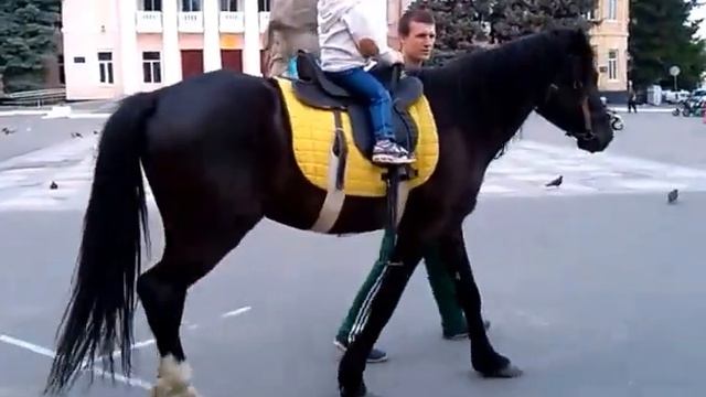 прогулка верхом - riding tour смотреть онлайн