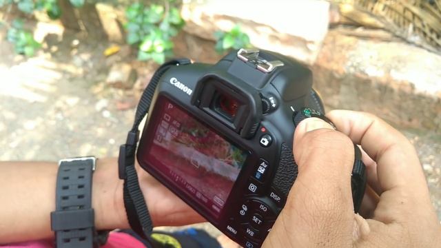 Best DSLR camera for beginners 2018 Malayalam | canon EOS 1300d review Malayalam смотреть онлайн