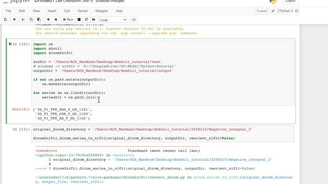 DICOM to NIFTI 변환 (with Python) смотреть онлайн