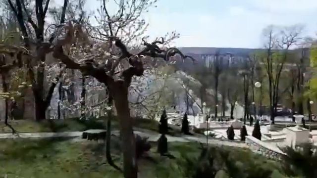 Пшеничный терьер .Прогулка смотреть онлайн