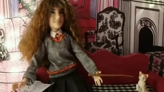 Короткая перевоплощение в из кошки в Гарри Поттера #куклы #нуб и про