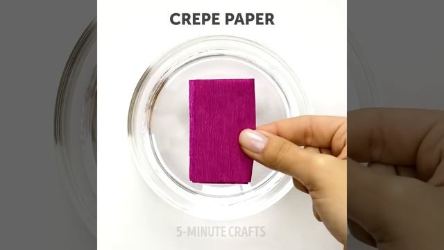 31 BEAUTY HACKS TO MAKE YOU A STAR смотреть онлайн