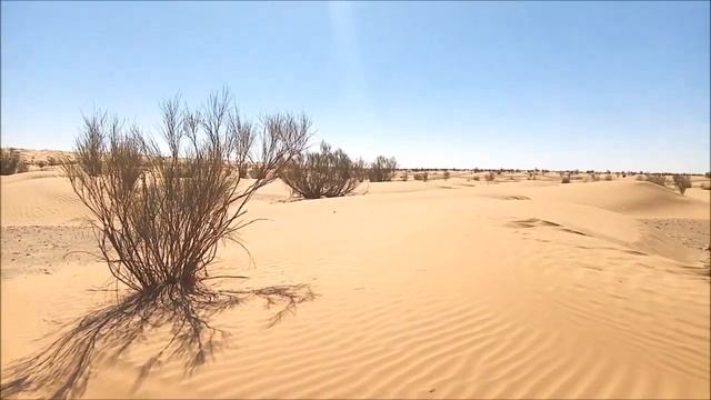 Dunes de sables au Sahara du sud tunisien. смотреть онлайн