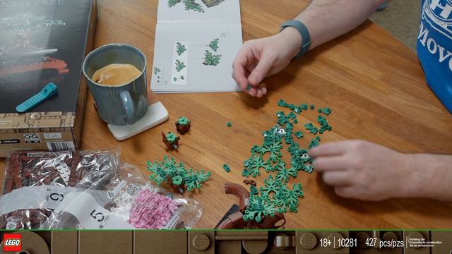 Lego Botanicals Bonsai Tree time lapse build смотреть онлайн