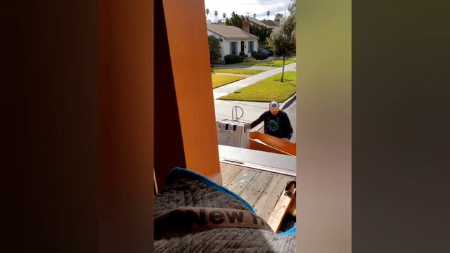 Работа в сша на 2023 год / Зарплаты в Америке / грузоперевозки смотреть онлайн