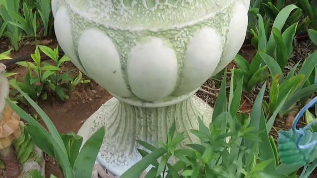 Garden Scroll 2018 May Planting смотреть онлайн