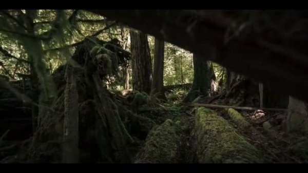 Что такое .htaccess? Для чего нужен файл htaccess?