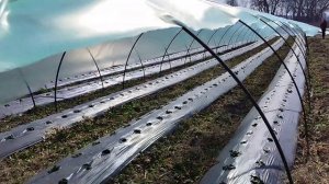 Балаган с перетяжками. Супер способ, Теплица туннель. По итальянской технологии!