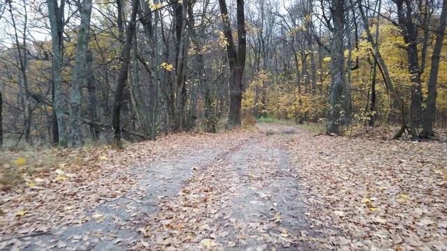 озеро Глушица смотреть онлайн