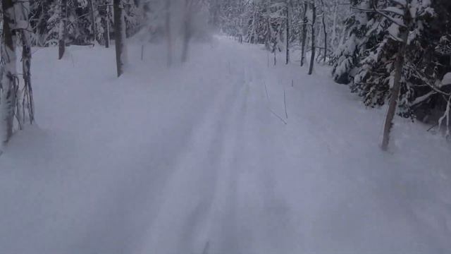 Красивый зимний лес в снегопад. Ищу дорогу, троплю смотреть онлайн