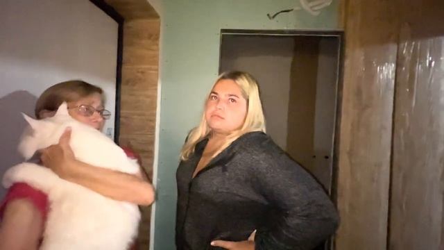 Внучка чуть не выбросила бабушкиного кота.. (2 ЧАСТЬ) смотреть онлайн