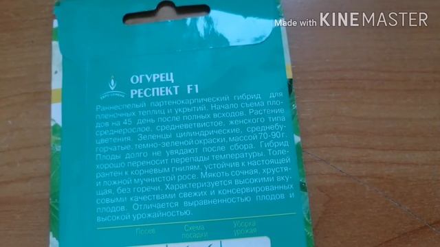 Самый хороший сорт огурца для маринования. смотреть онлайн