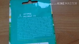 Самый хороший сорт огурца для маринования.