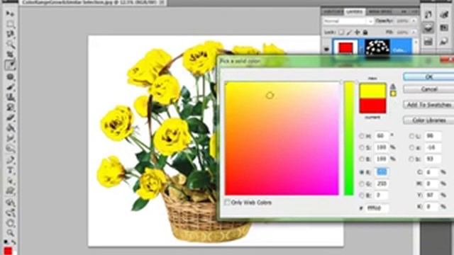 Guitar Photoshop(21)