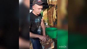 Томление и сушка табака. Простой способ.