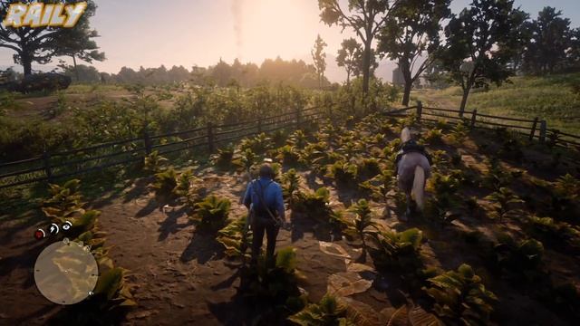 10 Вещей, о Которых Вы Не Знали в Red Dead Redemption 2! (RDR 2) смотреть онлайн