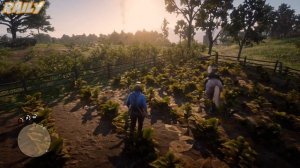 10 Вещей, о Которых Вы Не Знали в Red Dead Redemption 2! (RDR 2)