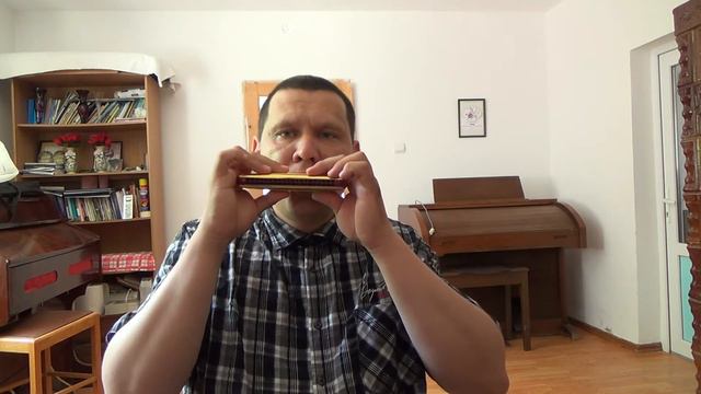 Immaculate Mary | Hohner Comet CG смотреть онлайн