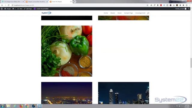 Divi Theme Hover Effects Download The Project Files ? смотреть онлайн