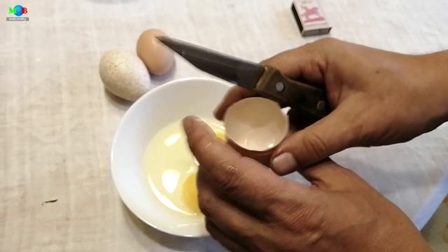 Гигантские двухжелтковые куриные яйца. Мальковский Вадим смотреть онлайн