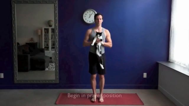 Занимаемся йогой вместе с котиком смотреть онлайн