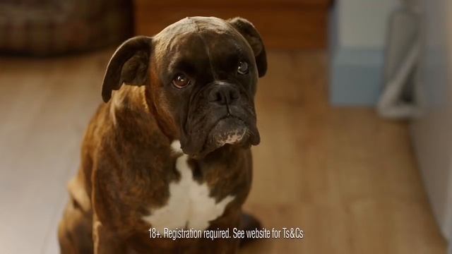 ClearScore TV Ad July 2017 - 'Eat Credit Card' смотреть онлайн