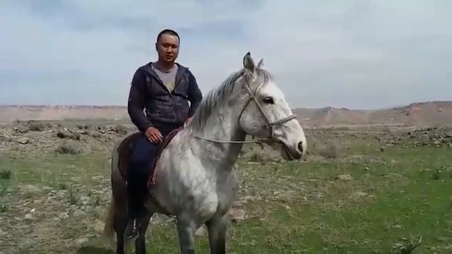 Нур нажат. Ат жонундо баян. смотреть онлайн