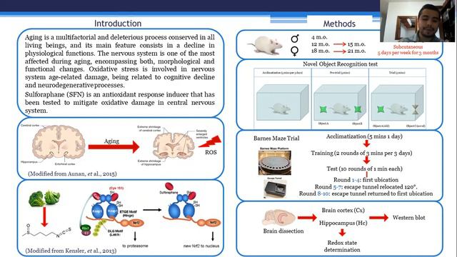 AGE Annual Meeting 2021 Poster Roberto Santín Márquez