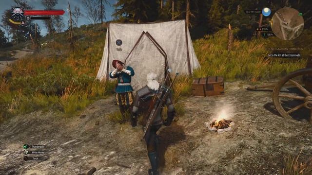 The Witcher 3: Wild Hunt Bug/ glitch 1 смотреть онлайн
