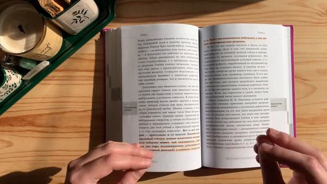 Как победить панические атаки, ВСД и невроз/Андрей Курпатов/ОБЗОР КНИГИ смотреть онлайн