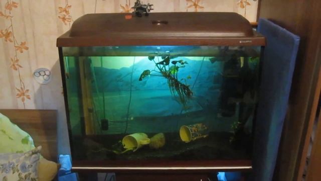 кольцо всевластия смотреть онлайн