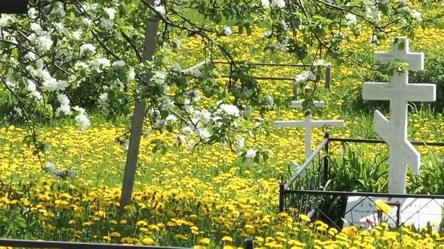 Цветущий сад смотреть онлайн