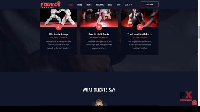 Youko - Martial Arts WordPress Theme Cleveland Dixon смотреть онлайн