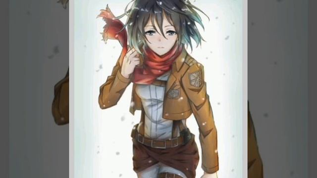 Mikasa Rule 34