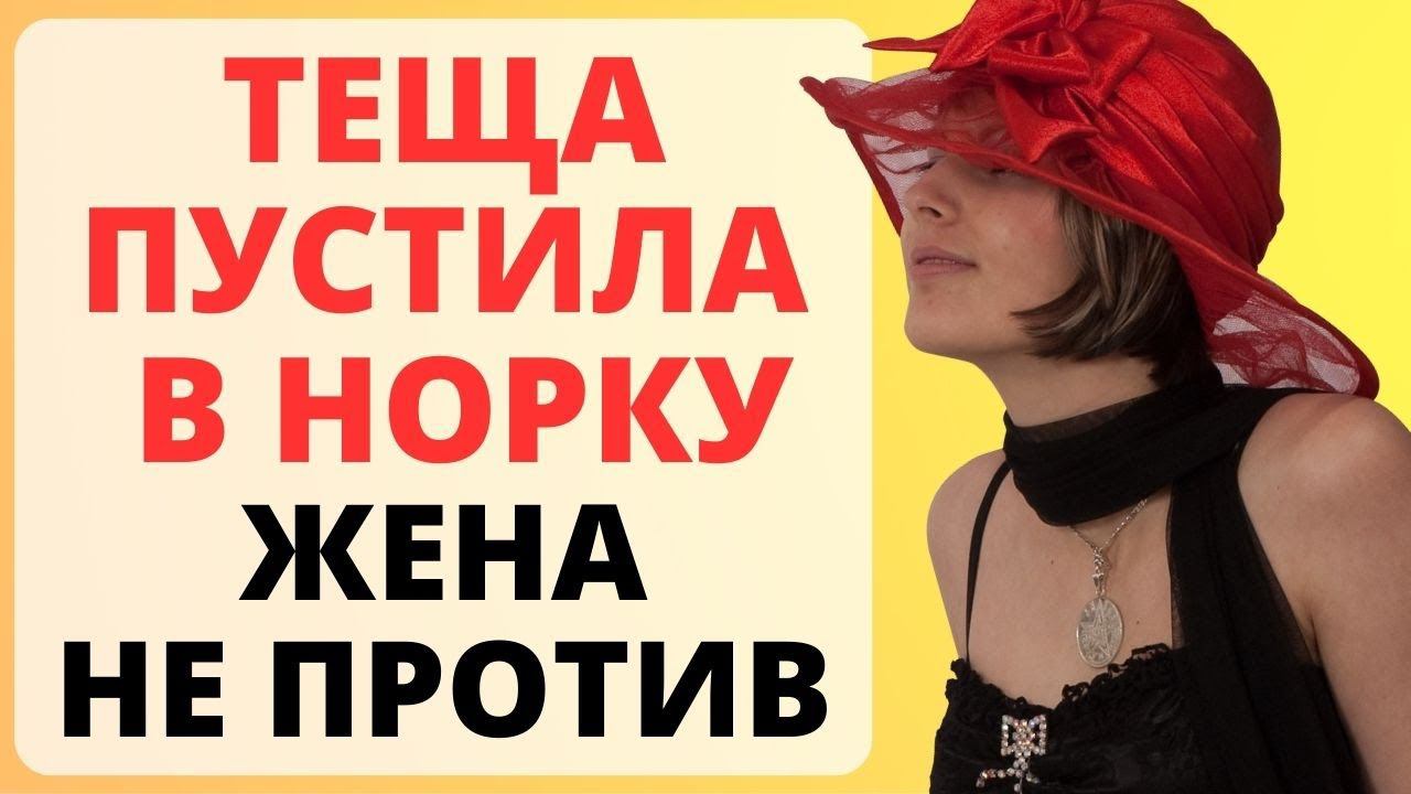 ТЕЩА пустила в НОРКУ / история из жизни смотреть онлайн