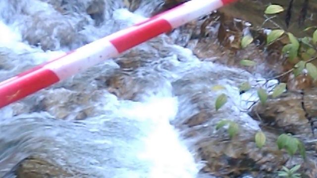 DSCN7853 Гуамское ущелье сентябрь 2024