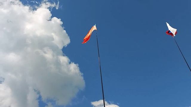 РОССИЙСКИЕ студенческие отряды. смотреть онлайн