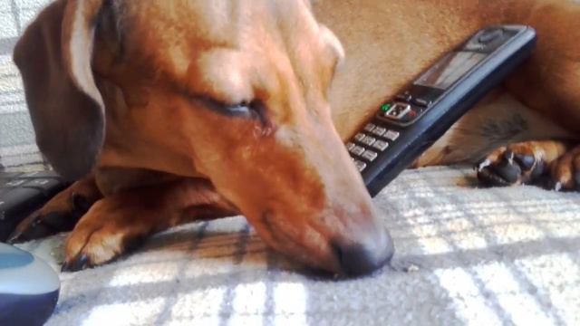 Немножко о Миле смотреть онлайн