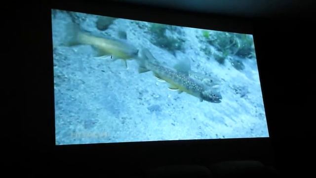 Lg Pf1500 Lights Off