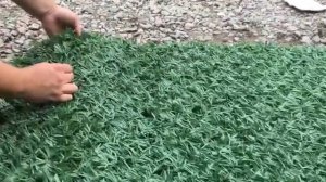 Монтаж Зеленого забора